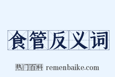 食管反义词是什么意思的图片